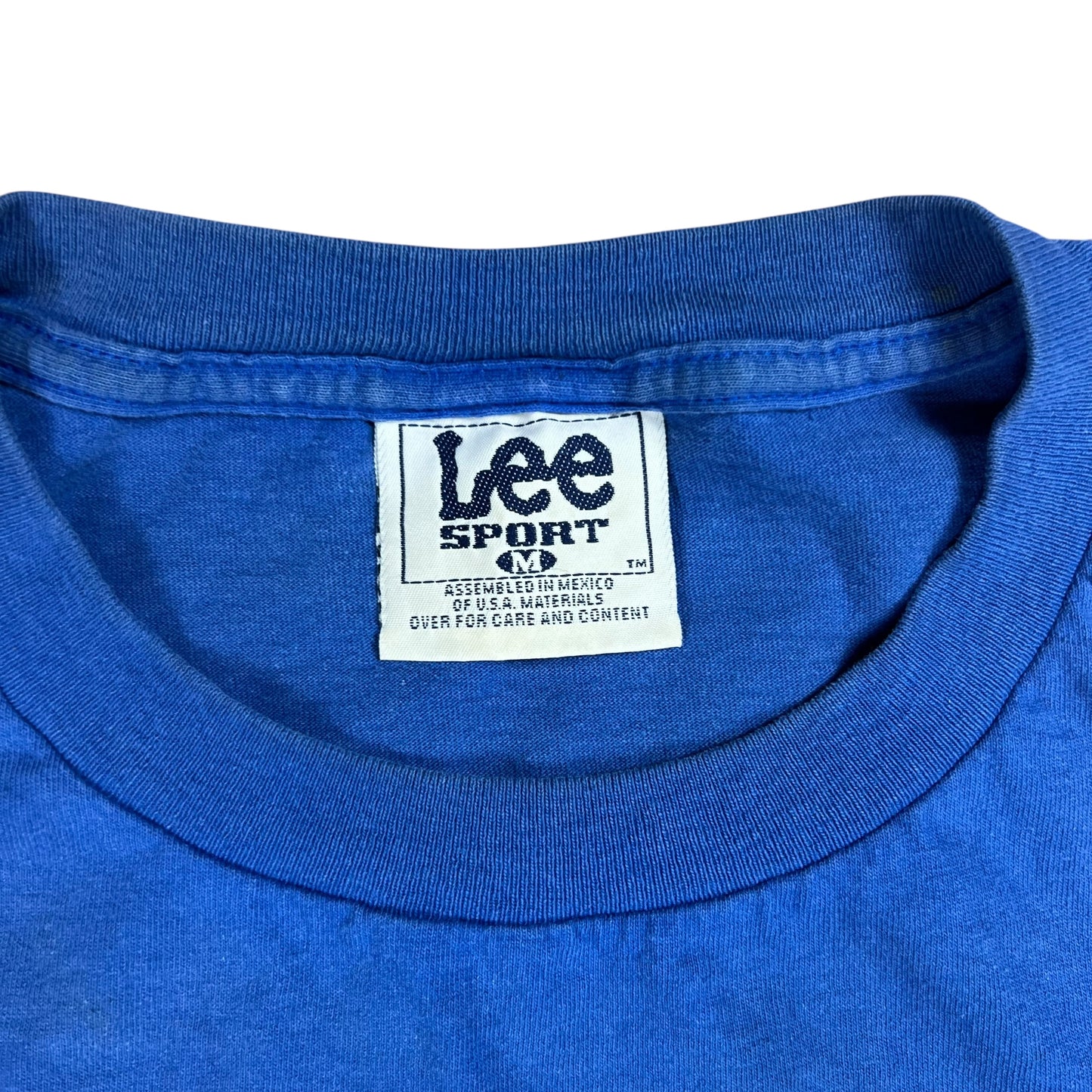 Vintage 90s Nutmeg Seattle Seahawks old logo tee (M)