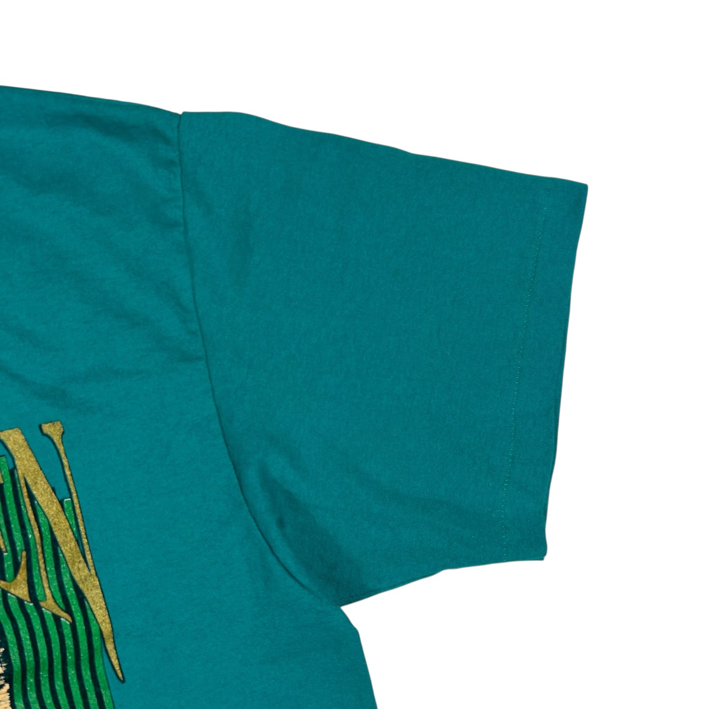 Vintage 90s Watkins Glen State Park New York Nature tee (M)