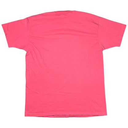 Vintage 90s L.L. Bean Hanes Mount Katahdin salmon logo art tee (L/XL)