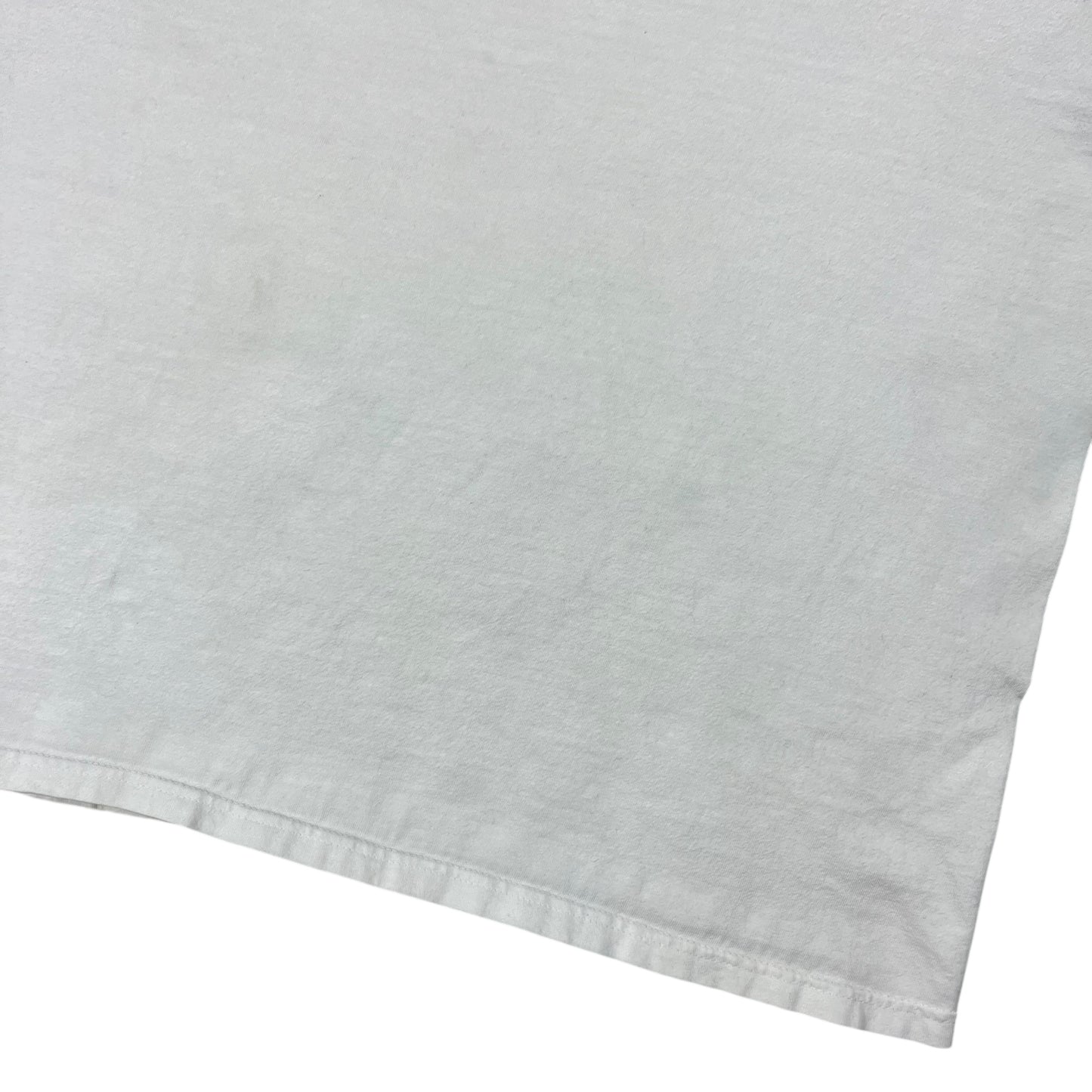 Vintage 2001 Toy Story Frat Parody “A BUZZ OR WOODY GUARANTEED” tee (XL)