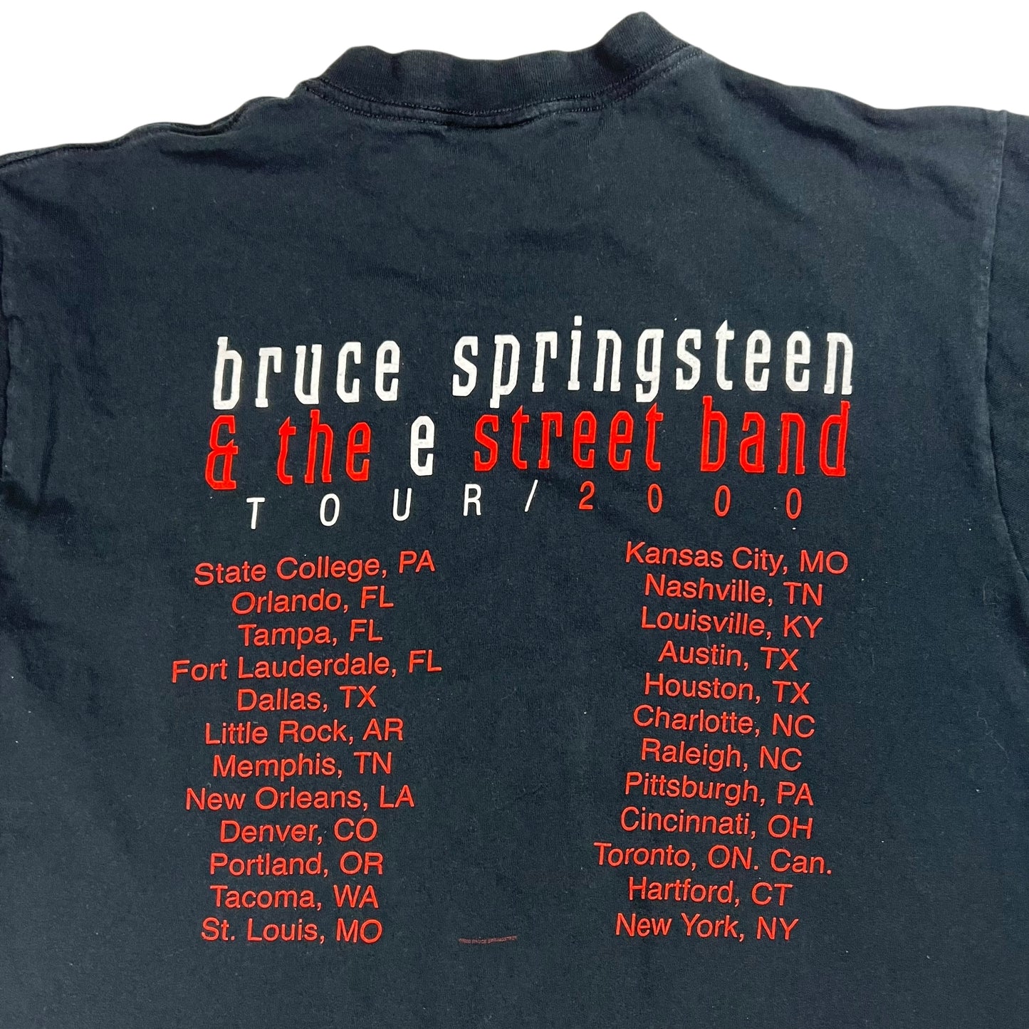 Vintage 2000 Bruce Springsteen & the e street band tour tee (L)