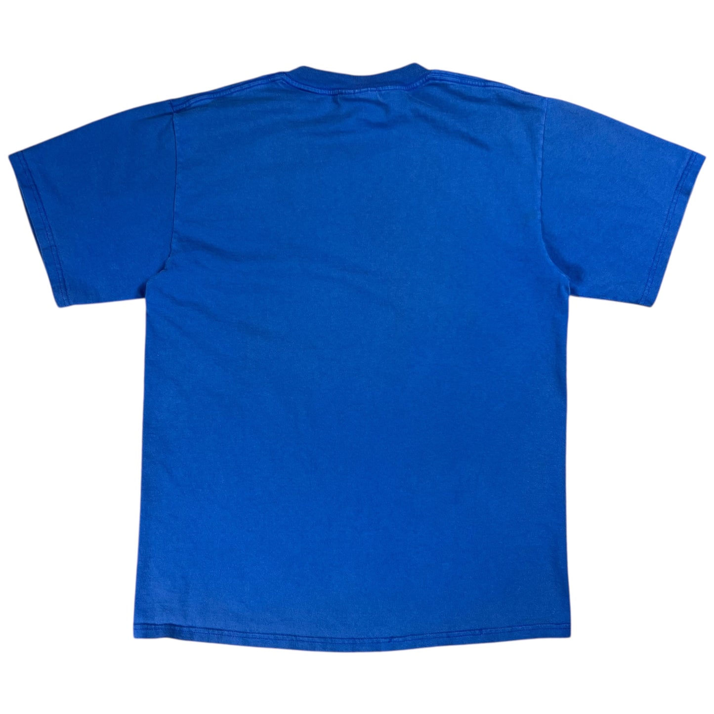 Vintage 90s Nutmeg Seattle Seahawks old logo tee (M)