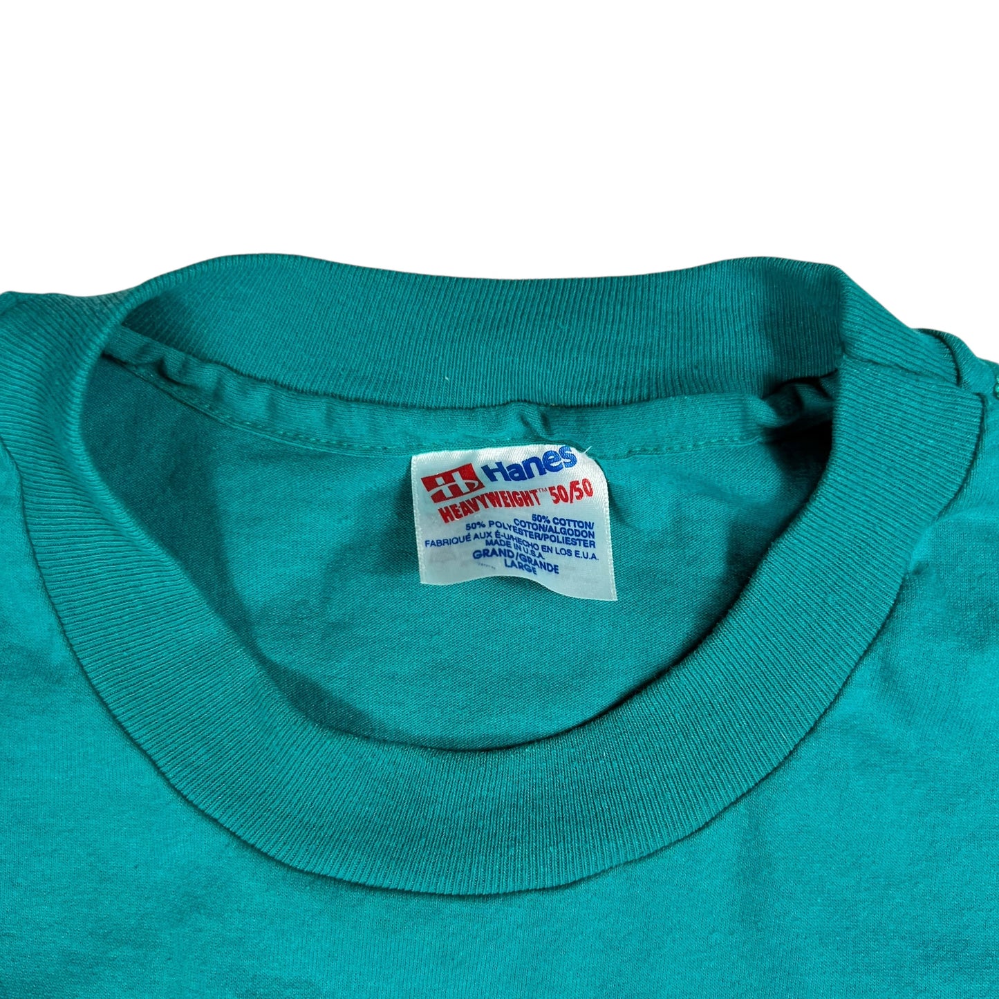 Vintage 90s Watkins Glen State Park New York Nature tee (M)