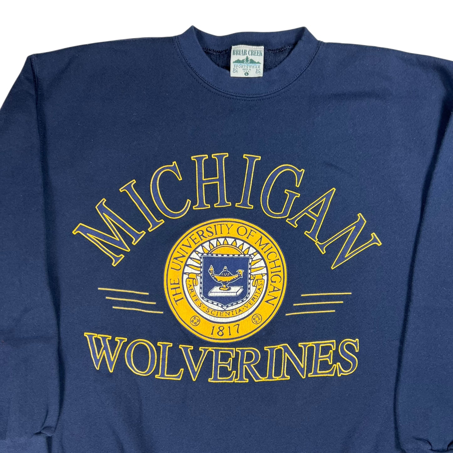 Vintage 90s University of Michigan Wolverines crewneck (M)