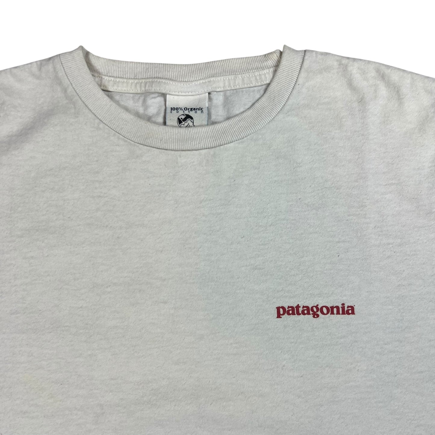 Vintage 90s Patagonia mountain long sleeve shirt (L)