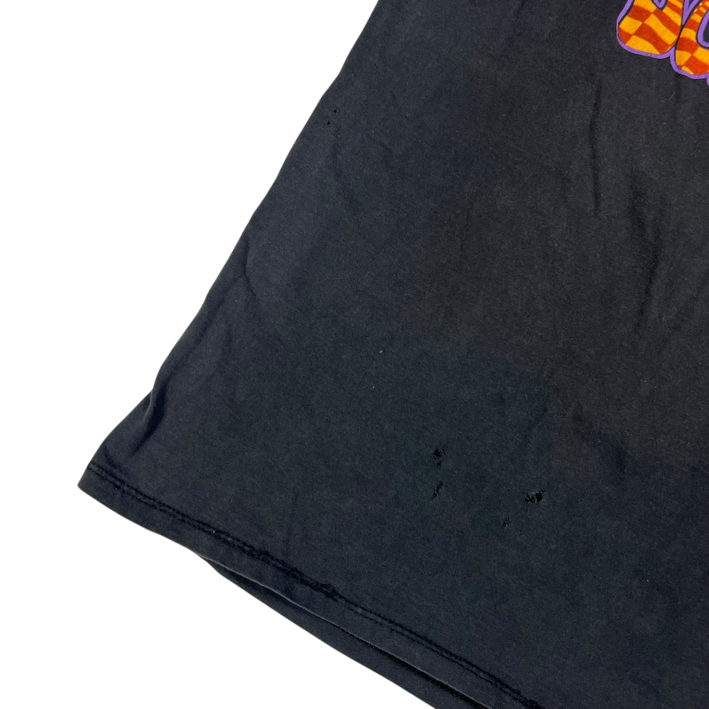 Vintage 1991 Winterland The Doors People Are Strange faded band tee (M/L)