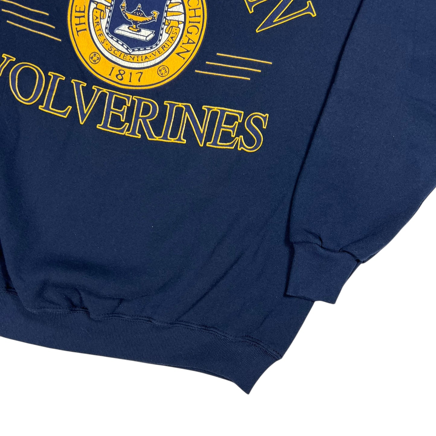 Vintage 90s University of Michigan Wolverines crewneck (M)