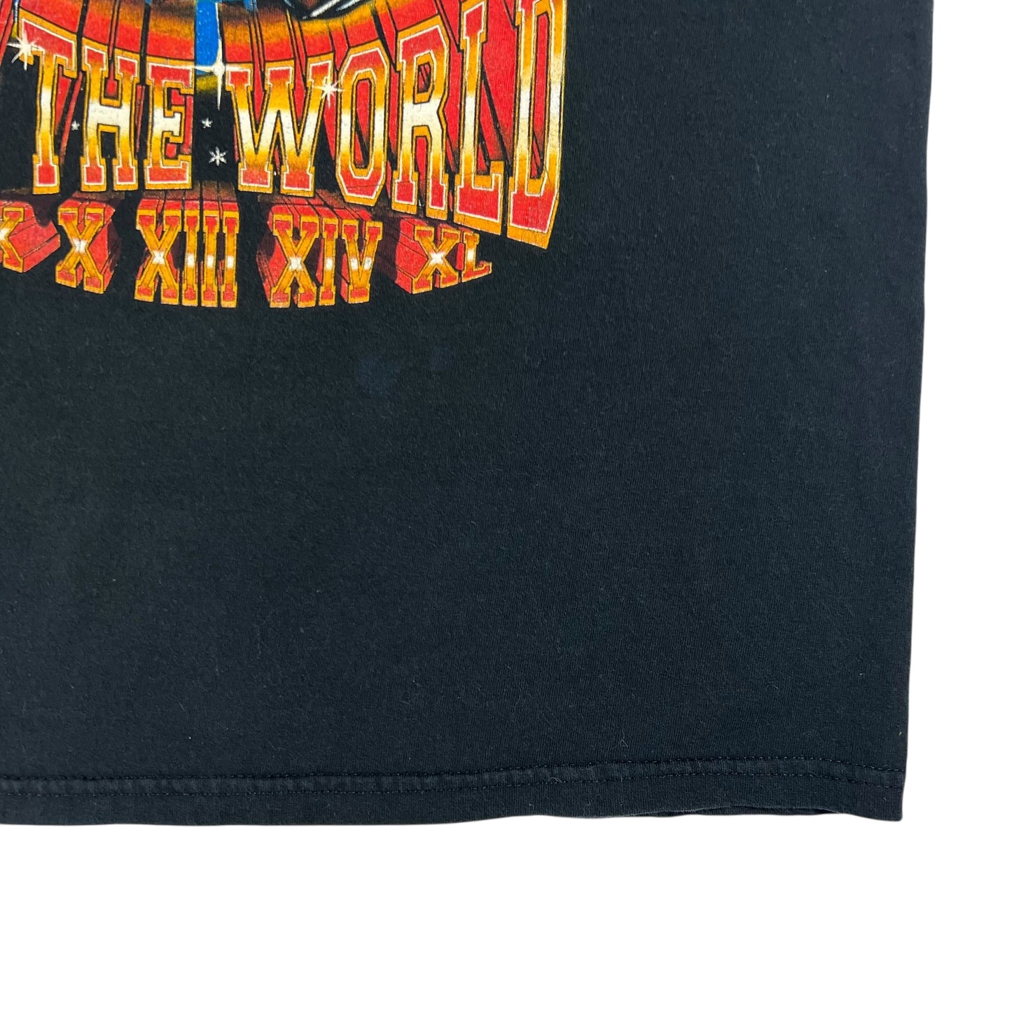 Vintage 2005 Pittsburgh Steelers Champions of the world faded tee (L)