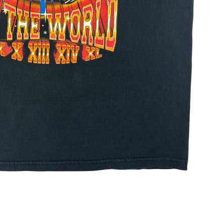 Vintage 2005 Pittsburgh Steelers Champions of the world faded tee (L)