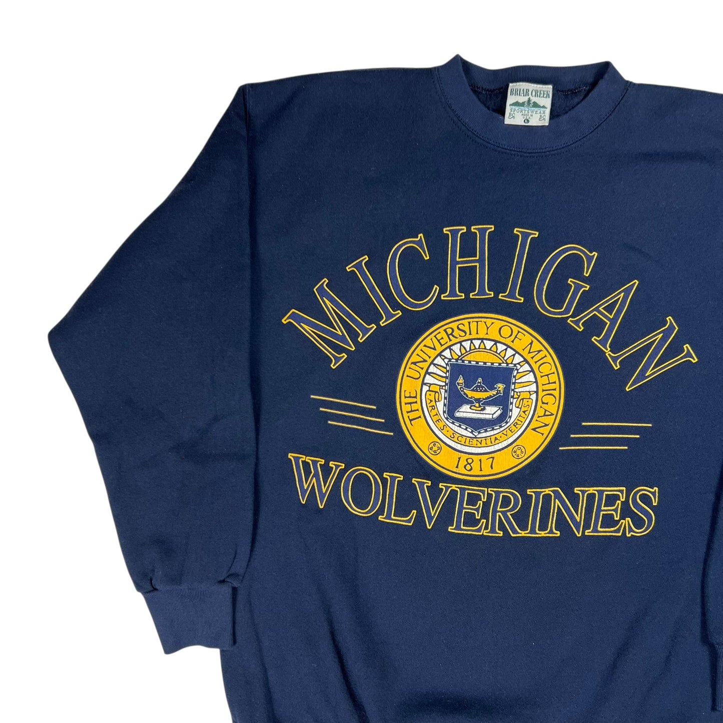Vintage 90s University of Michigan Wolverines crewneck (M)