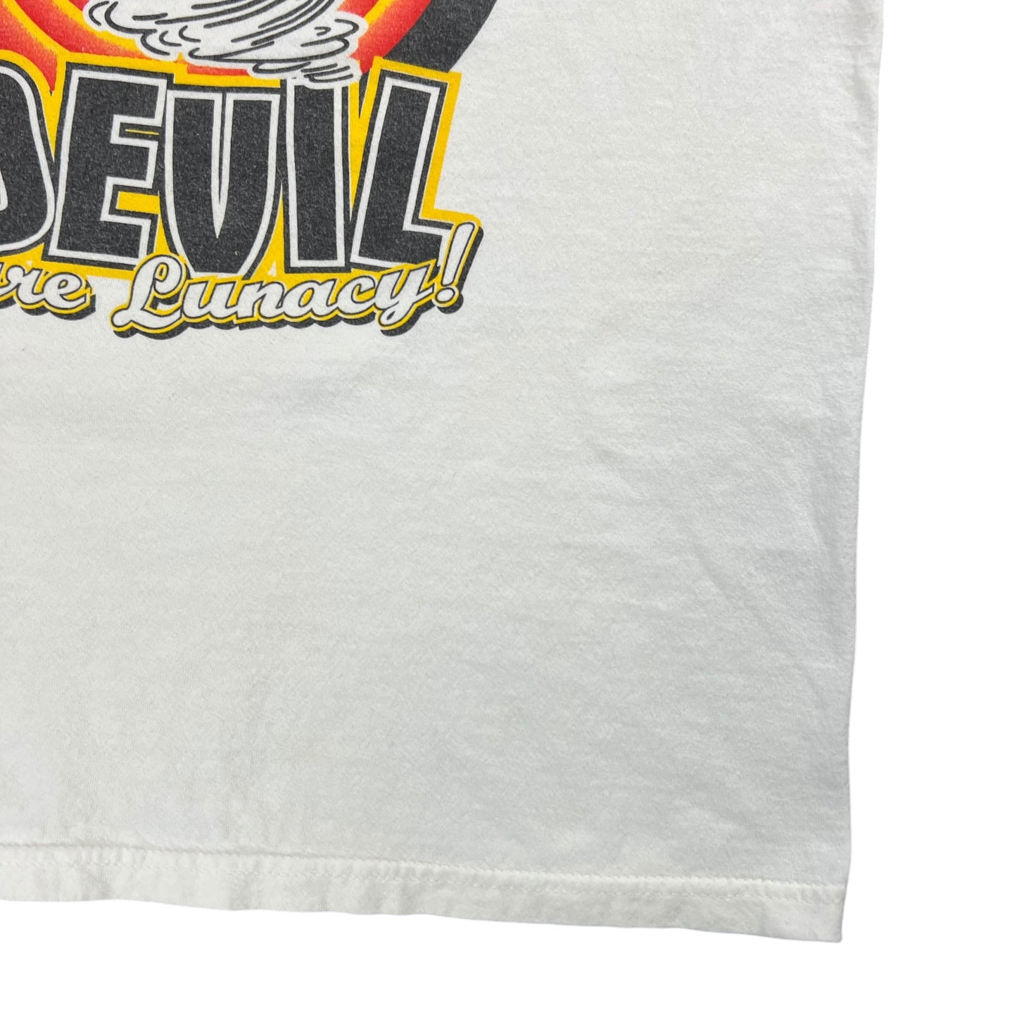 Vintage Y2K Troymanian Devil Pittsburgh Steelers Troy Polamalu tee (M)