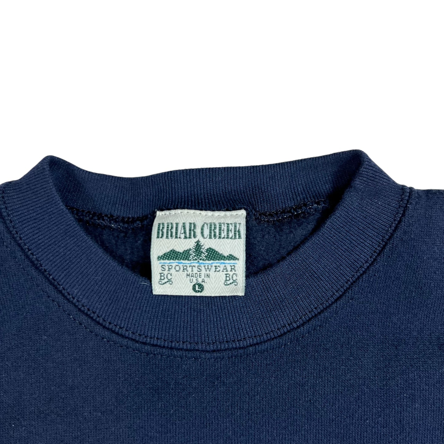 Vintage 90s University of Michigan Wolverines crewneck (M)