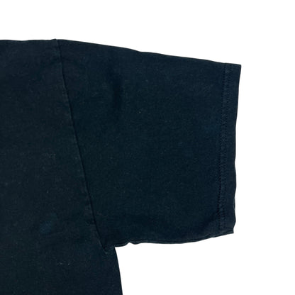 Vintage 2005 Pittsburgh Steelers Champions of the world faded tee (L)