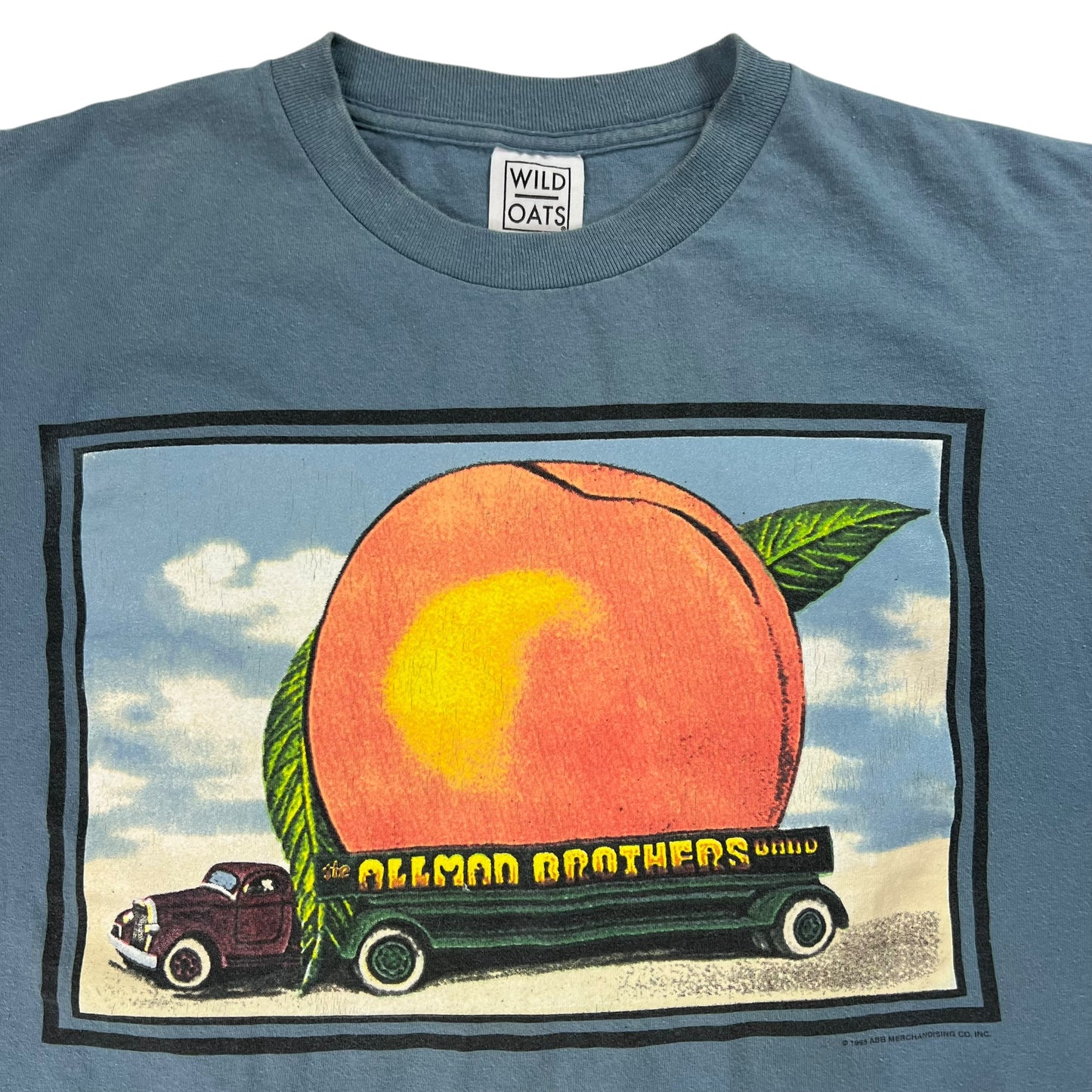 Vintage 1995 Allman Brothers Band Eat a Peach band tee (M)