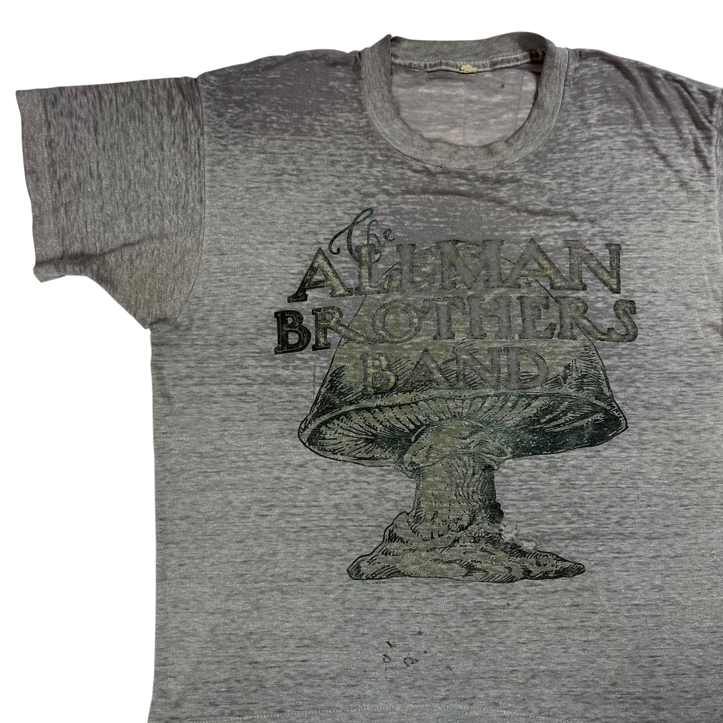 Vintage 90s The Allman Brothers Band threadbare distressed band tee (L)