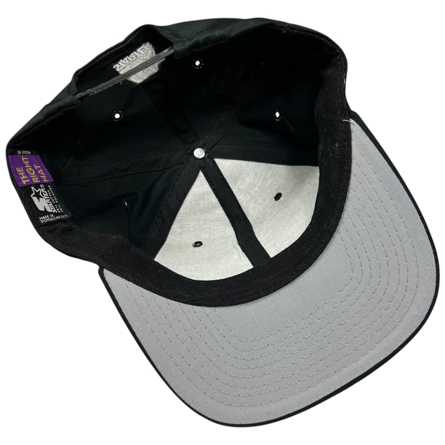 Vintage 1995 Starter Pittsburgh Steelers Division Champs SnapBack