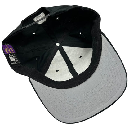 Vintage 1995 Starter Pittsburgh Steelers Division Champs SnapBack