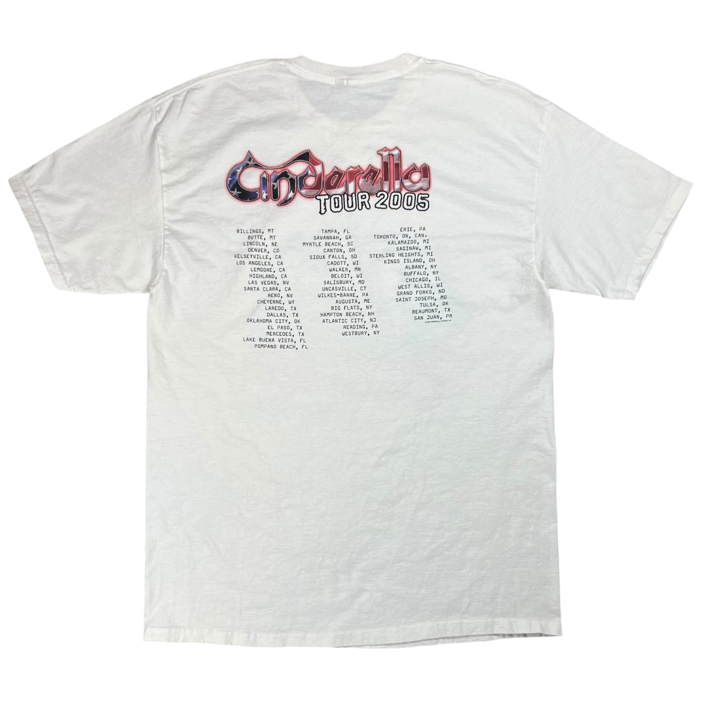 Vintage 2005 Cinderella Band tee (L)