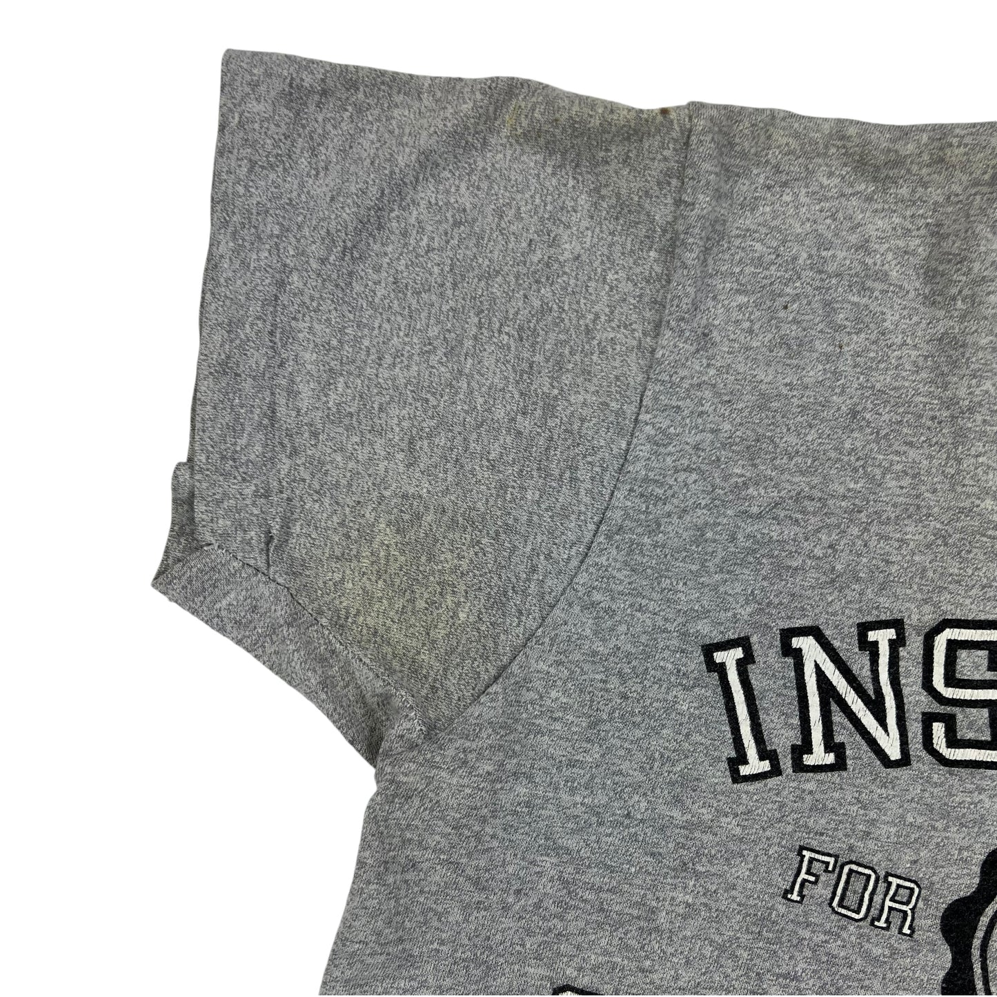 Vintage 1985 Institute for the Sexually Gifted tee (S)