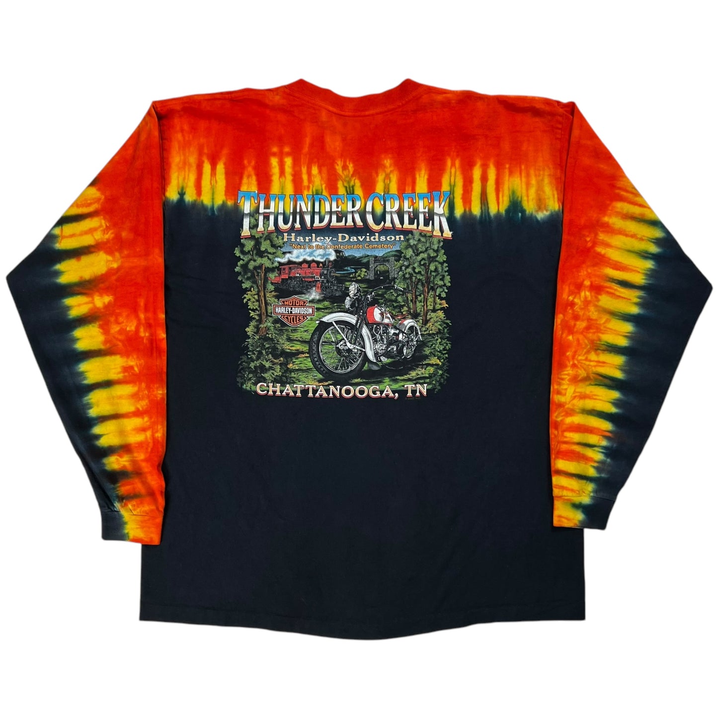 Vintage 2002 Harley Davidson Feel the Heat tie dye flames long sleeve (XL)