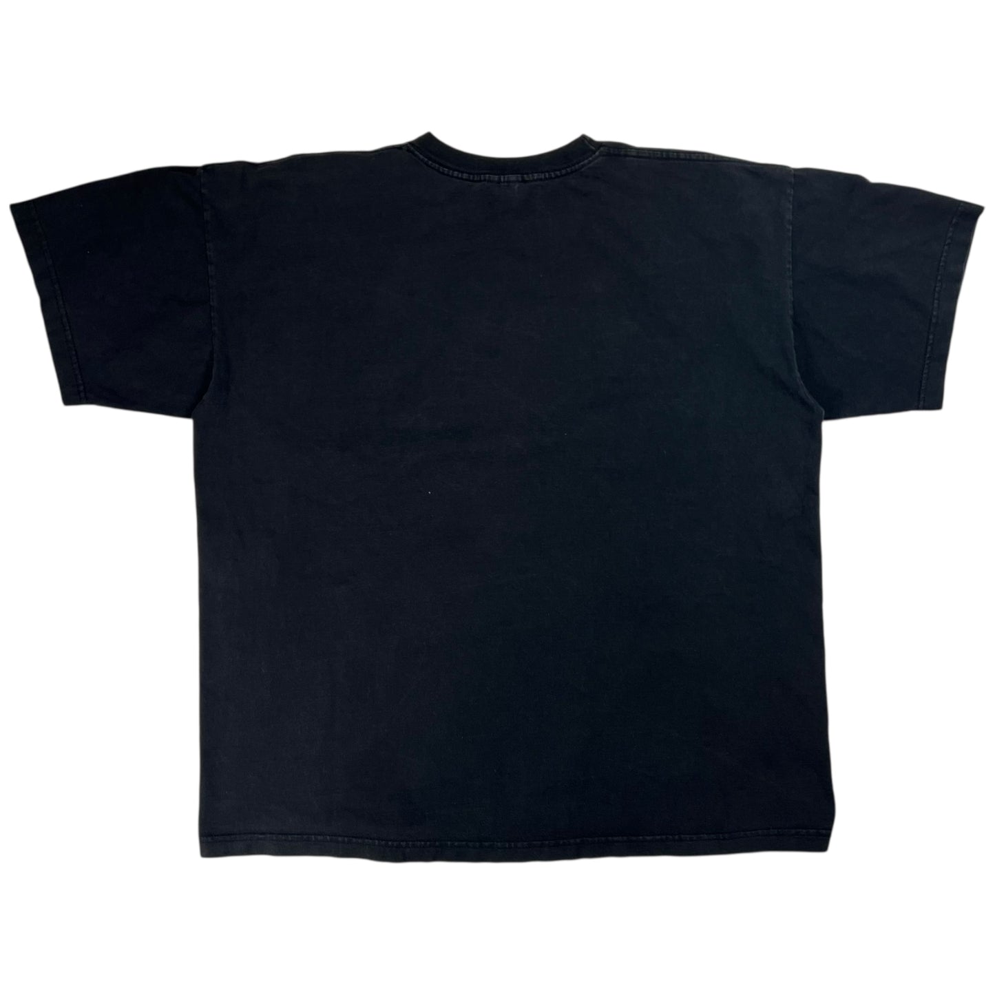 Vintage 1998 Chronies Alan Jackson country music tee (XL)