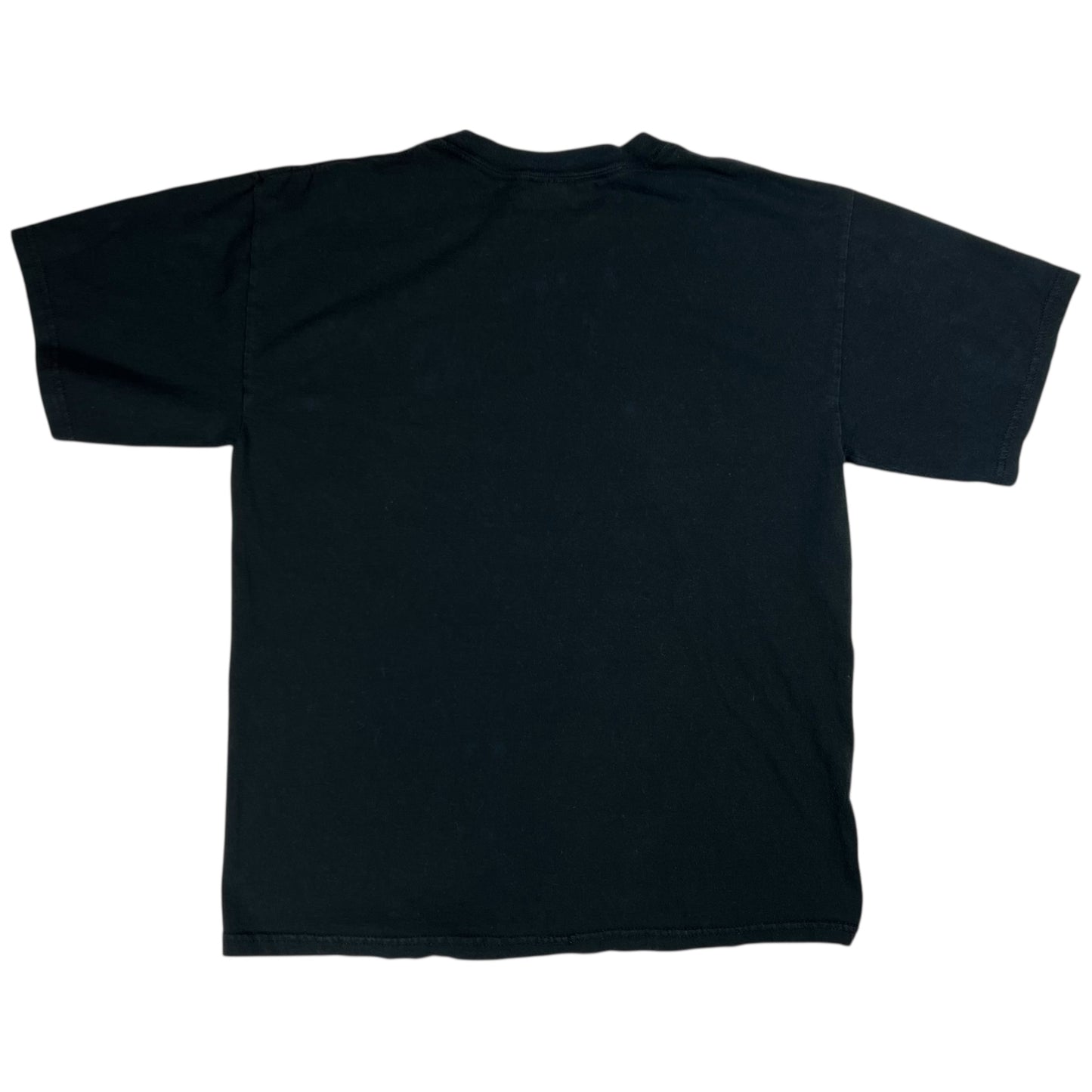 Vintage 2005 Pittsburgh Steelers Champions of the world faded tee (L)