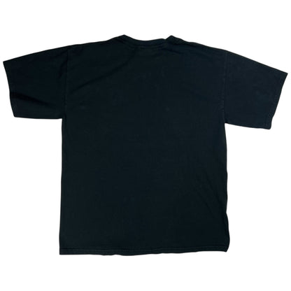 Vintage 2005 Pittsburgh Steelers Champions of the world faded tee (L)