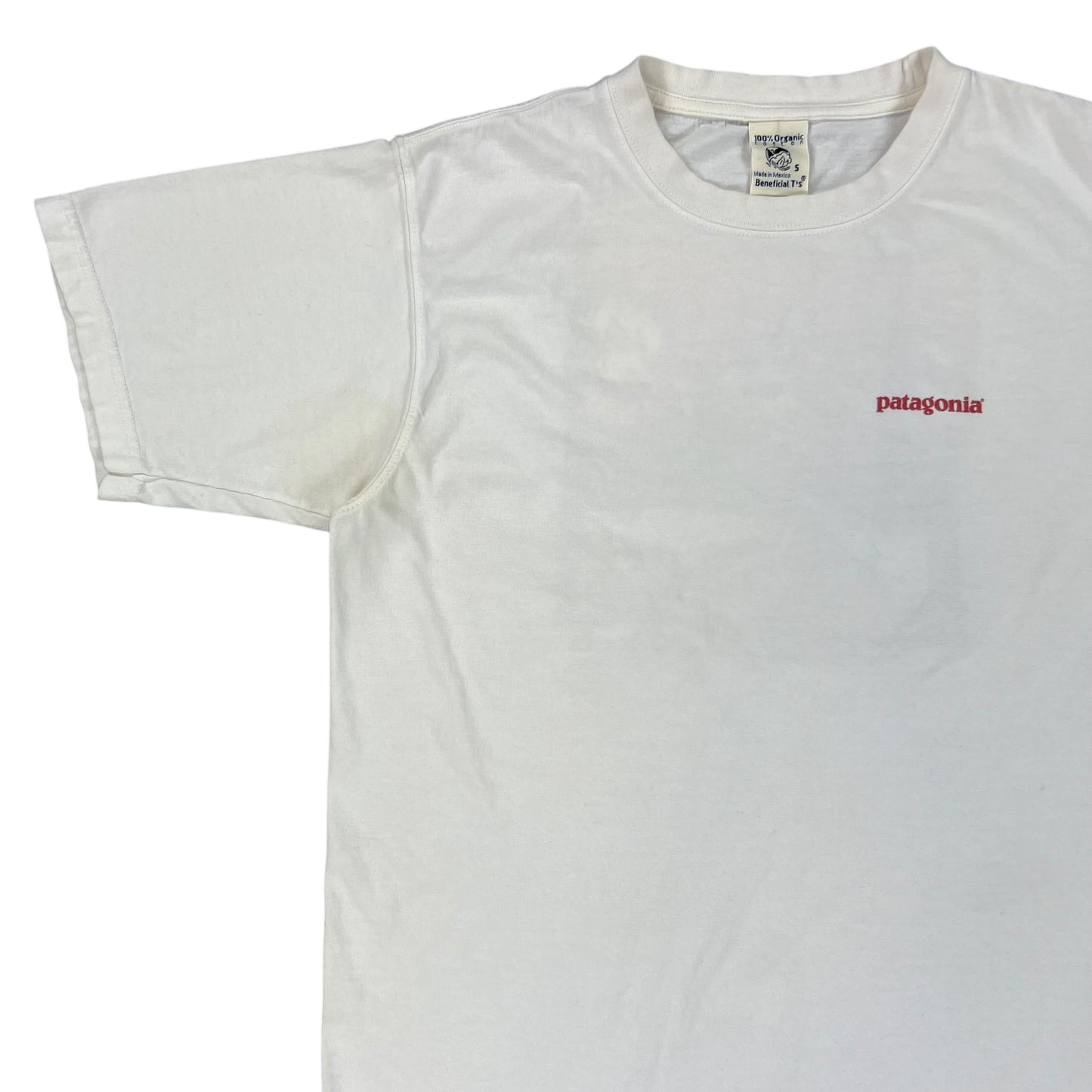 Vintage 90s Patagonia mountains tee (S)