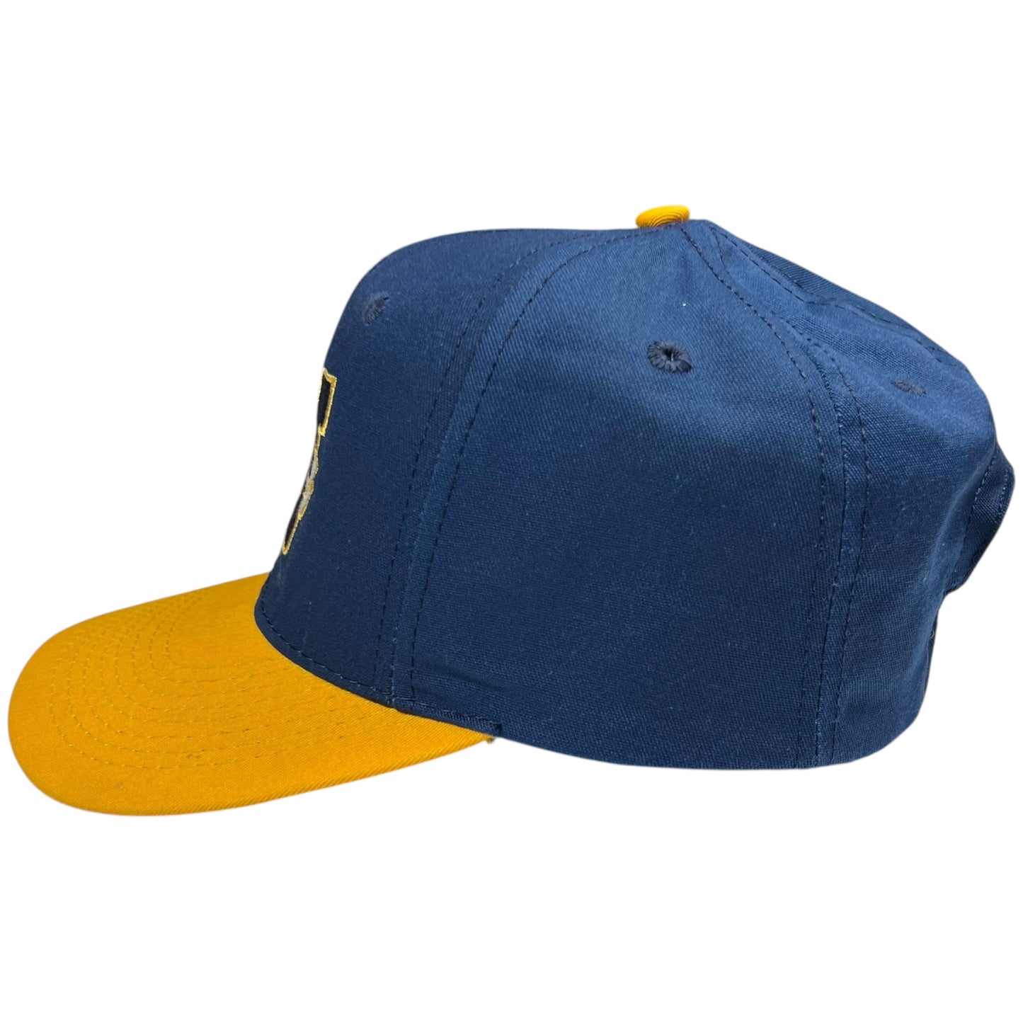 Vintage 90s University of Michigan Wolverines SnapBack