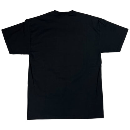 Y2K Reebok Pittsburgh Steelers Super Bowl Champions tee (M/L)