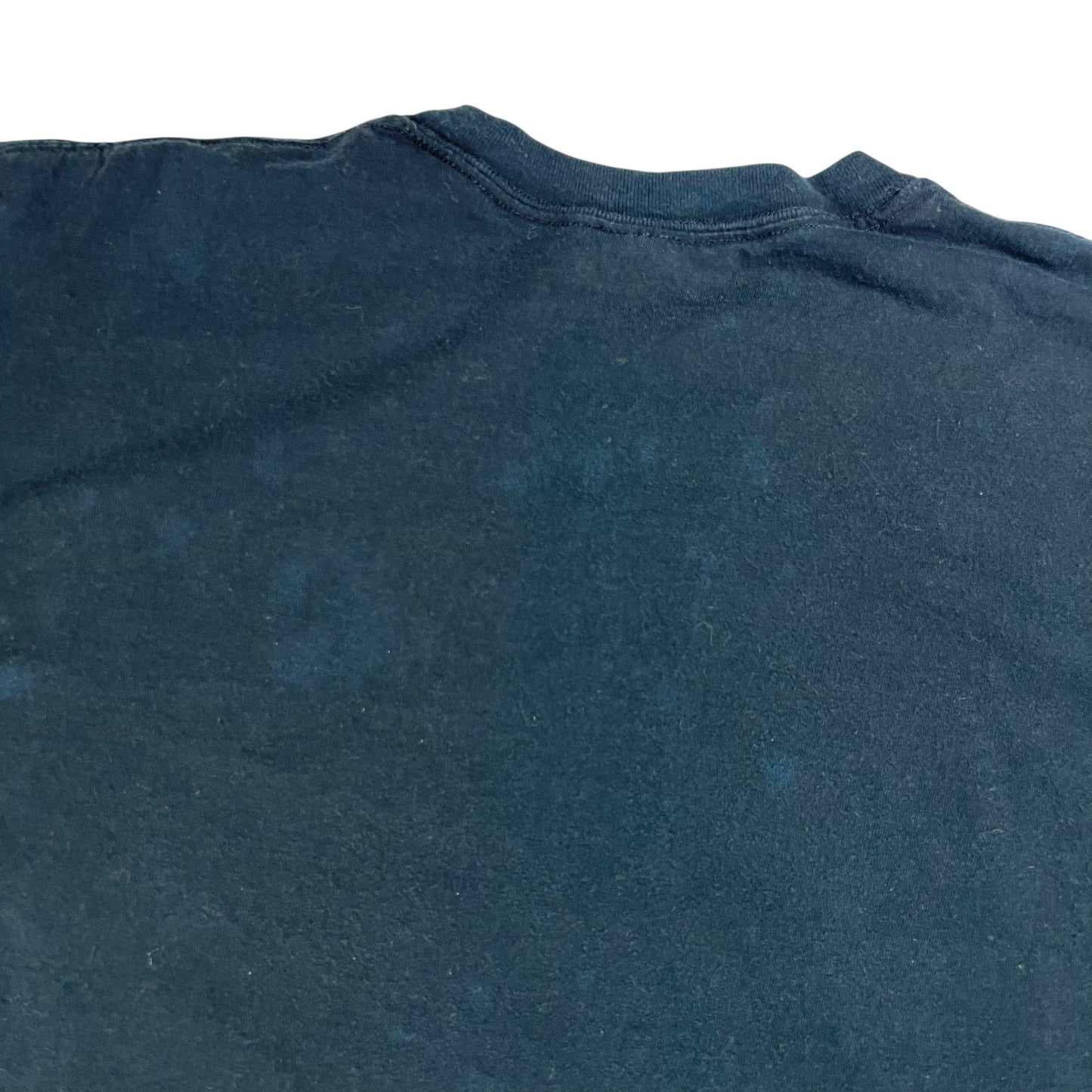 Vintage 2005 Pittsburgh Steelers Champions of the world faded tee (L)