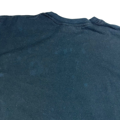 Vintage 2005 Pittsburgh Steelers Champions of the world faded tee (L)