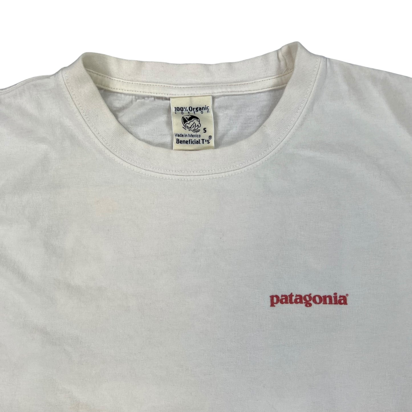 Vintage 90s Patagonia mountains tee (S)