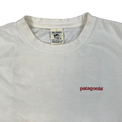 Vintage 90s Patagonia mountains tee (S)