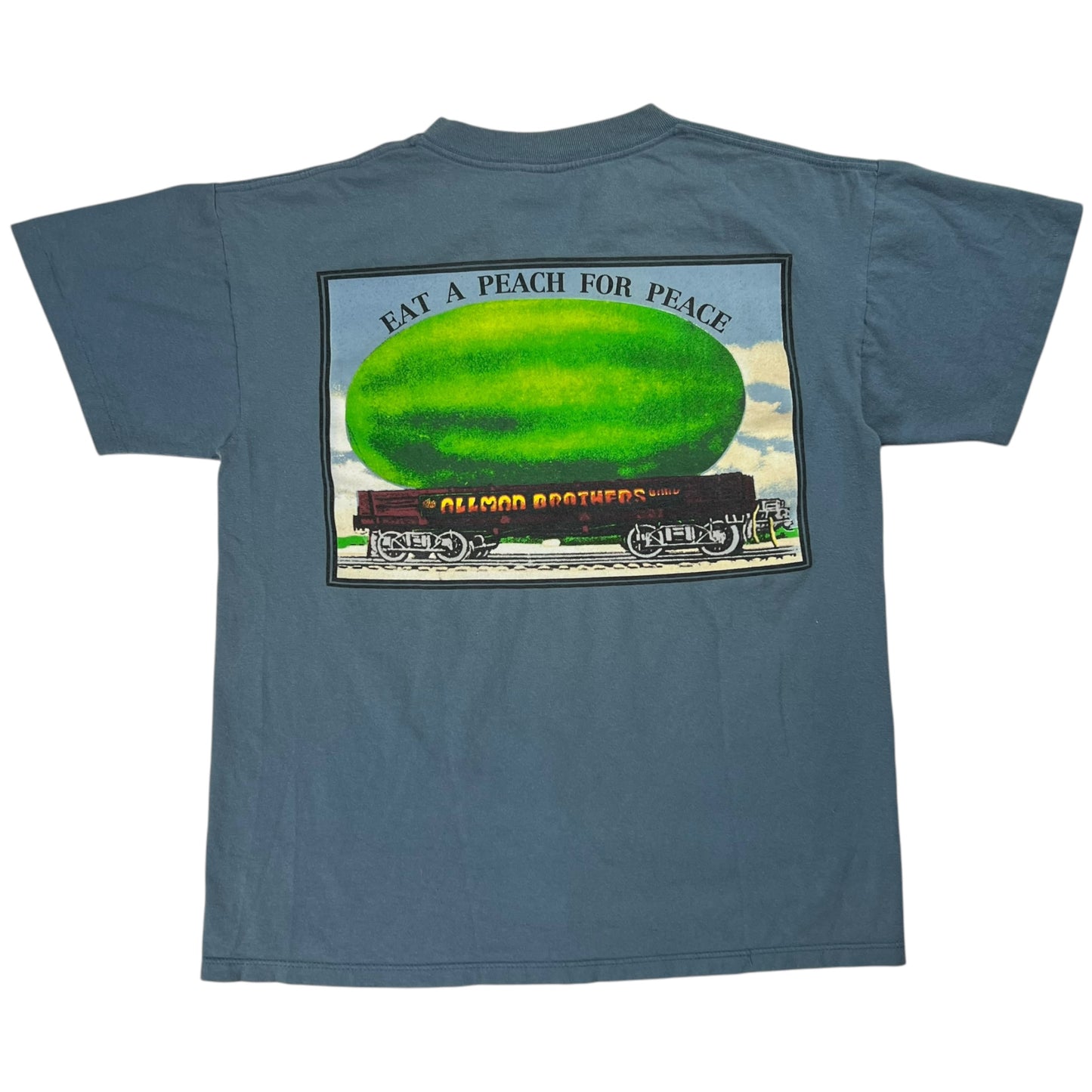 Vintage 1995 Allman Brothers Band Eat a Peach band tee (M)