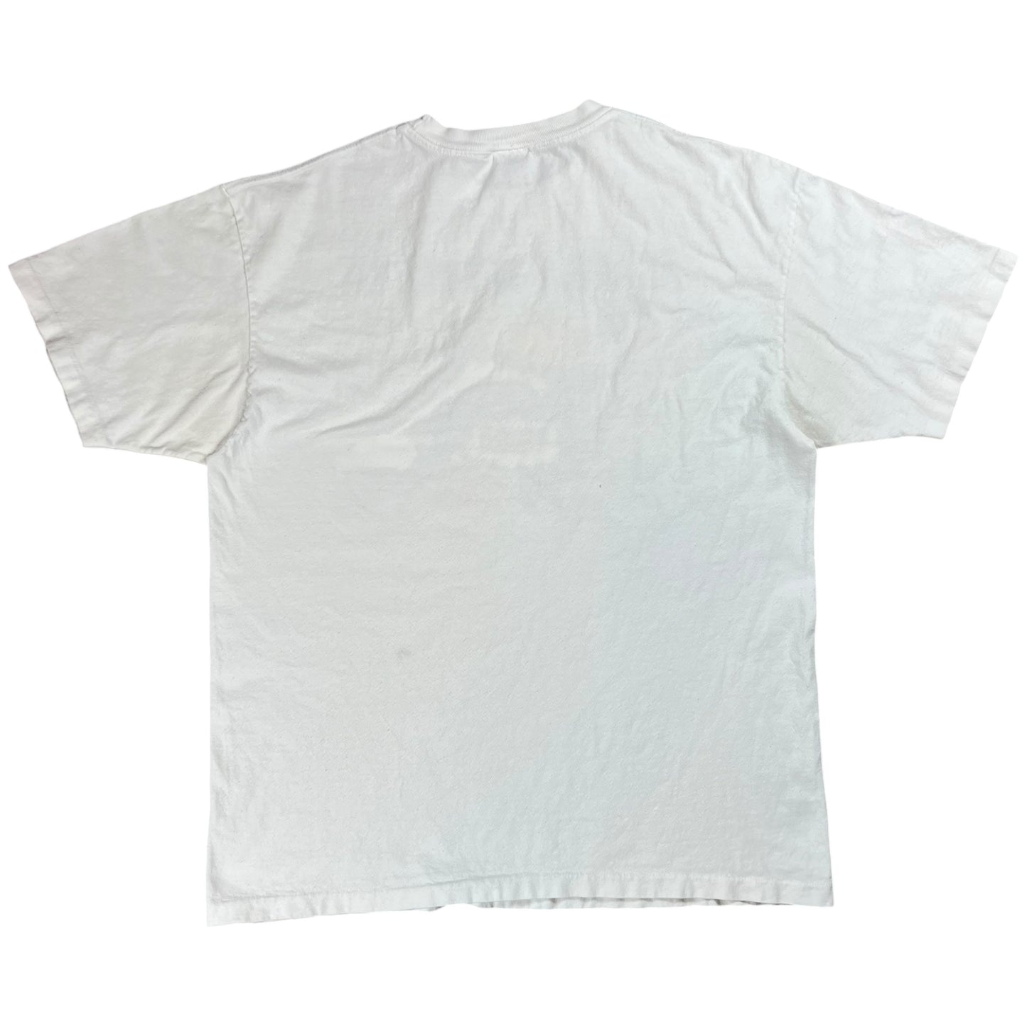Vintage 90s Alaska shitty Weather tee (XL)
