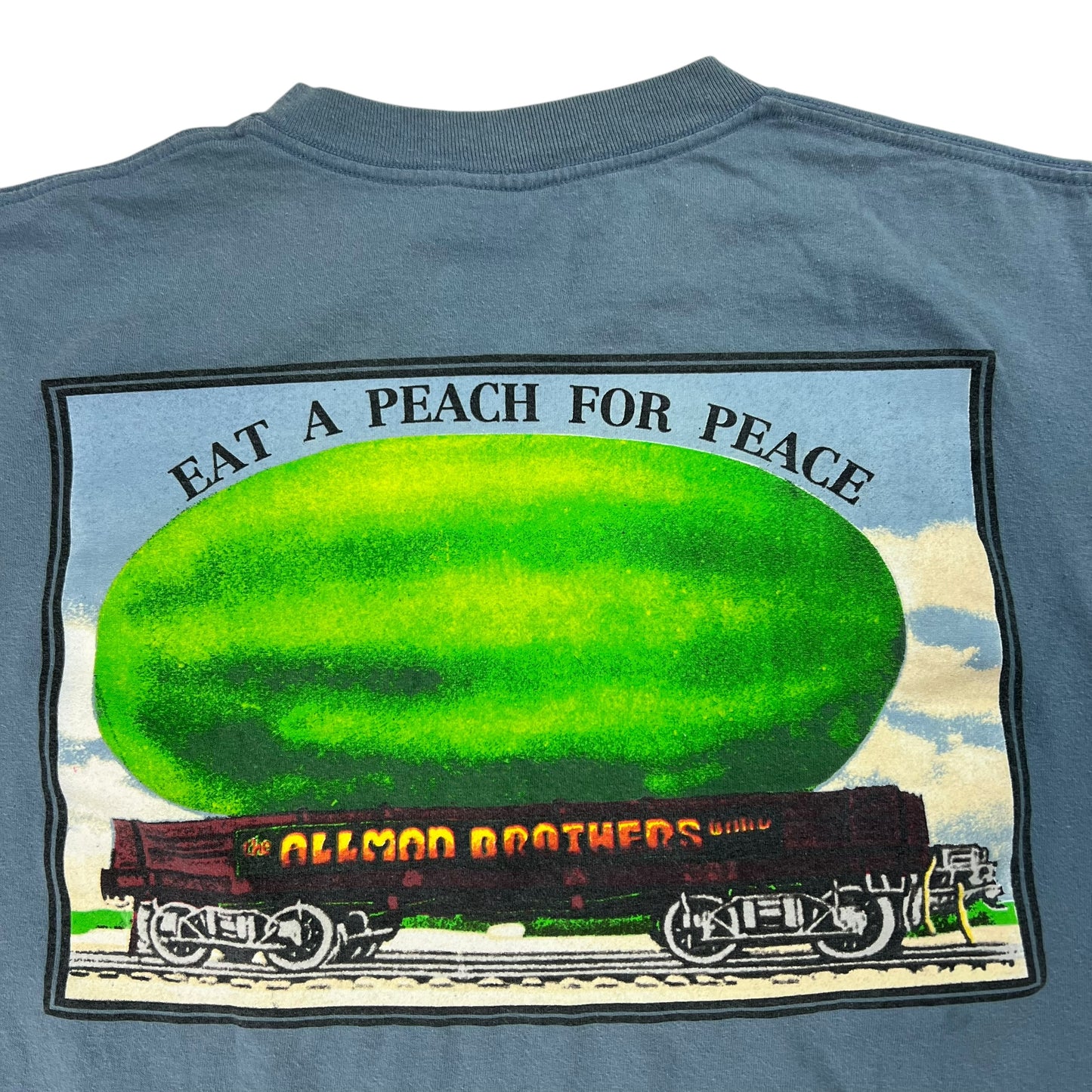 Vintage 1995 Allman Brothers Band Eat a Peach band tee (M)