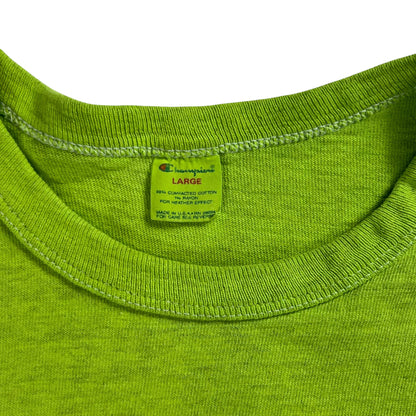 Vintage 1991 Champion Celebrate the Wave over dye tee (M)