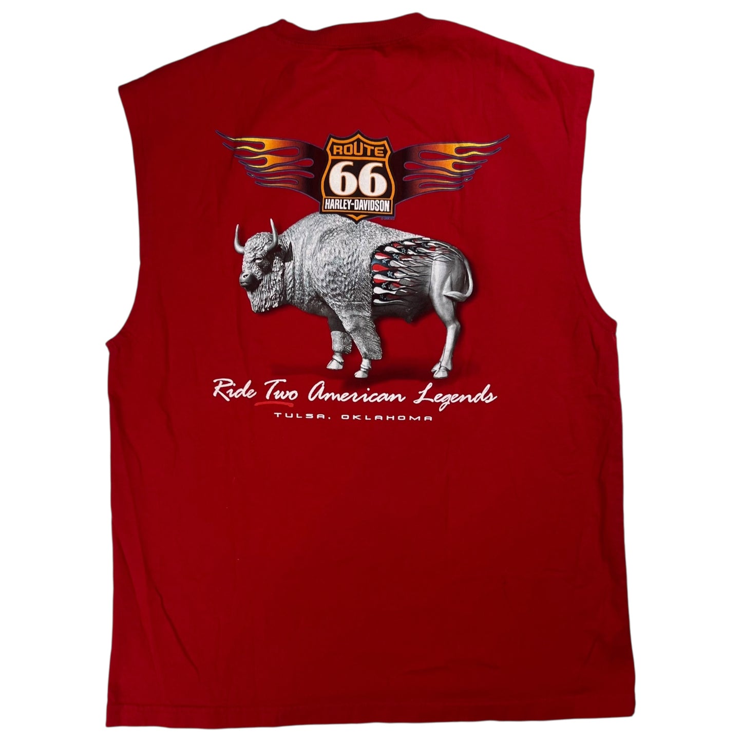 Vintage 2004 Harley Davidson Motorcycles cut off tank top shirt (L)