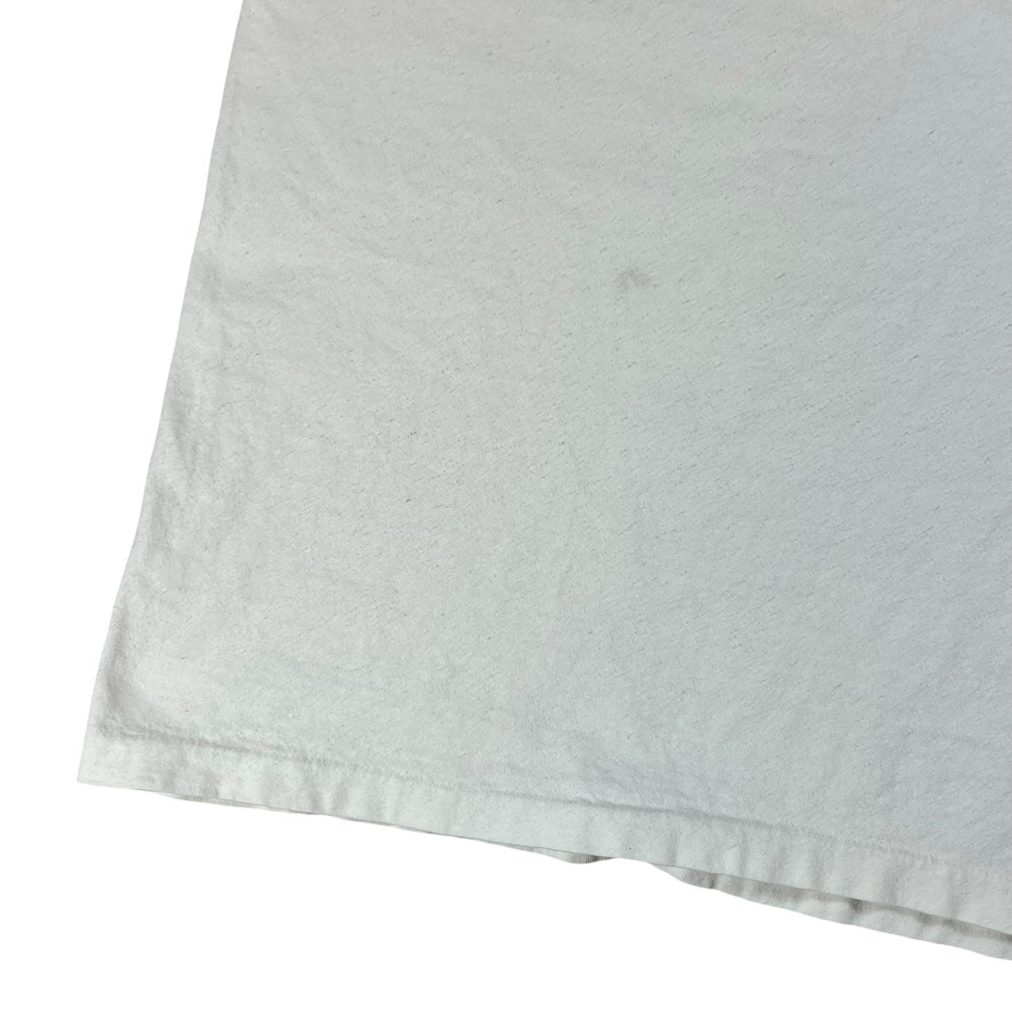 Vintage 90s Alaska shitty Weather tee (XL)