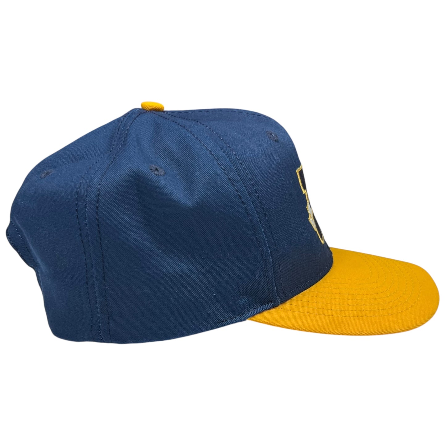 Vintage 90s University of Michigan Wolverines SnapBack