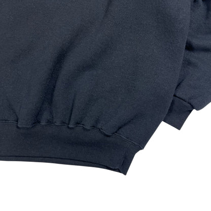 Vintage 2005 Pittsburgh Steelers AFC champions crewneck (XL)