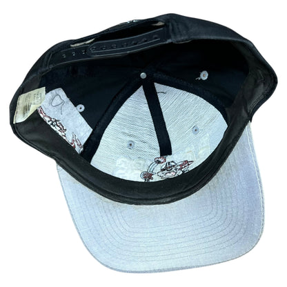 Vintage 1993 Oakland Raiders Looney Tunes Taz Tasmanian Devil SnapBack