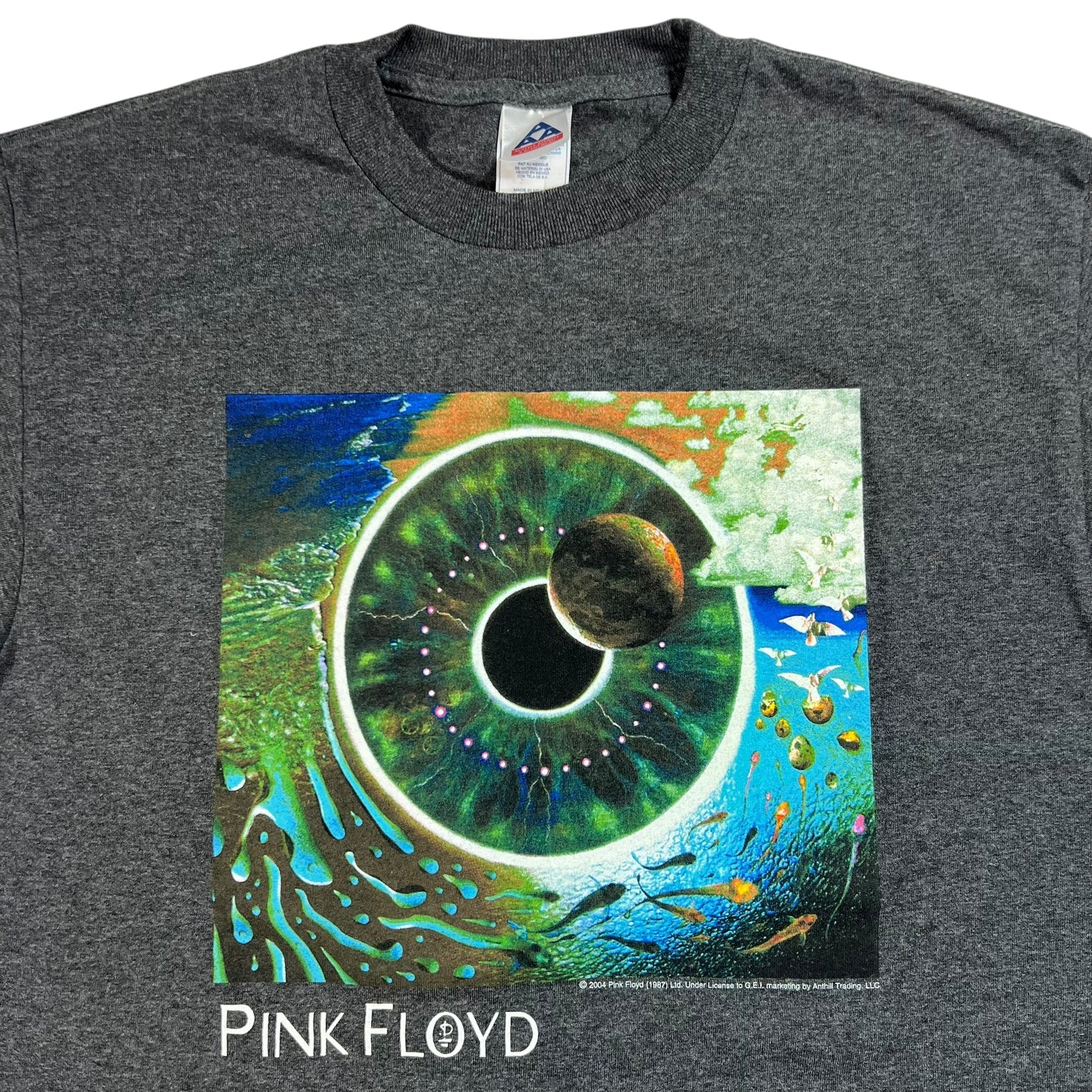 Vintage 2004 Pink Floyd Pulse Album Band tee (M)