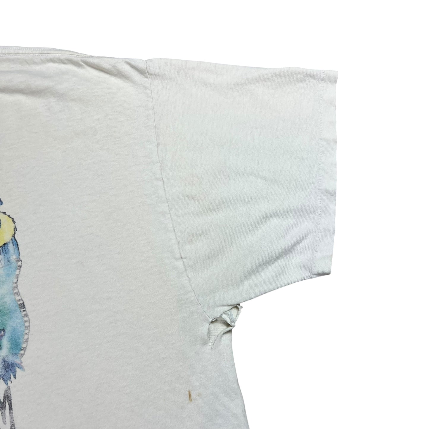 Vintage 90s Grateful Dead Truckin’ Dr. Seuss worn band lot tee (XL)