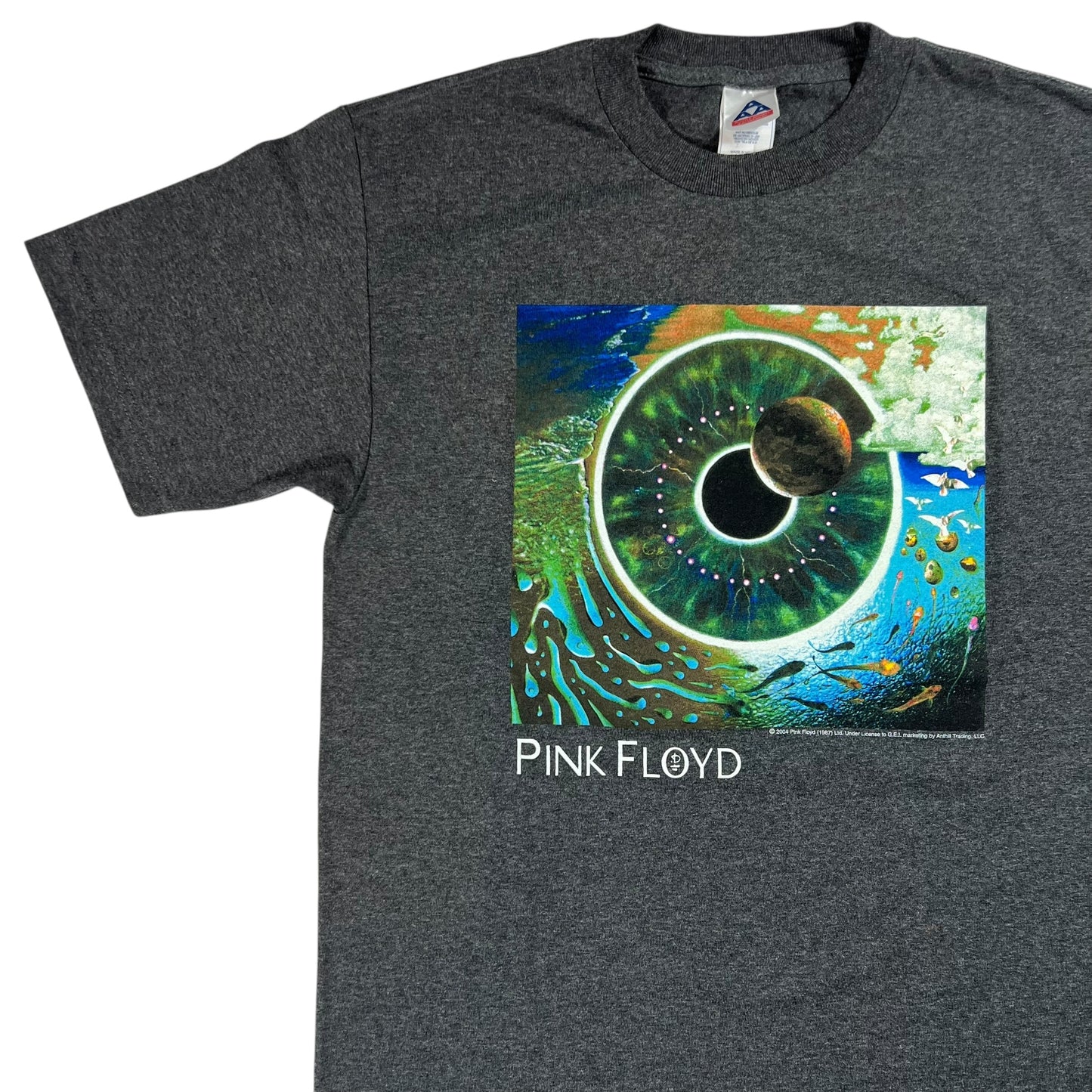 Vintage 2004 Pink Floyd Pulse Album Band tee (M)