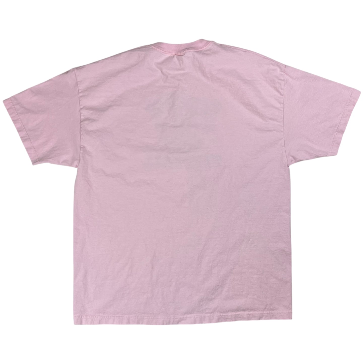 Vintage Y2K Pitt Panthers Football University of Pittsburgh pink tee (XXL)