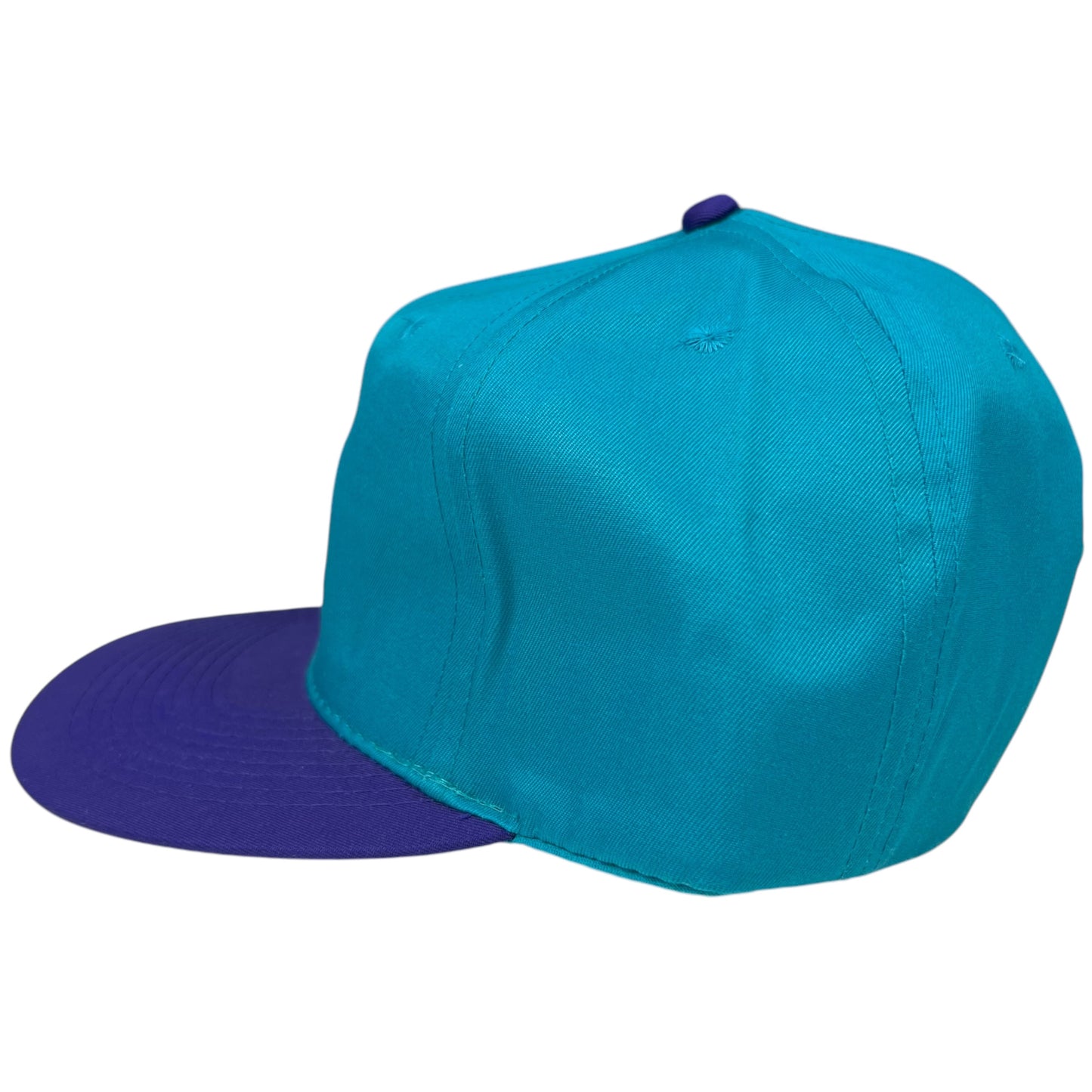 Vintage 90s AJD Charlotte Hornets NBA SnapBack