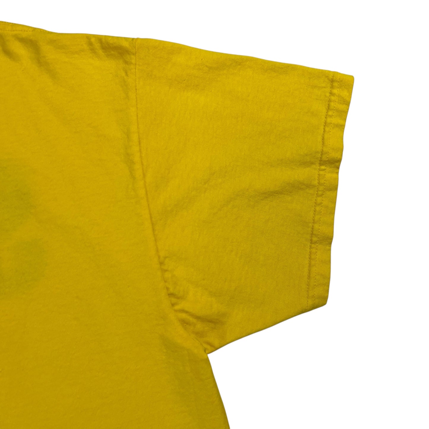 Vintage 1999 Woodstock 99 STAFF A Day In The Garden tee (XL)