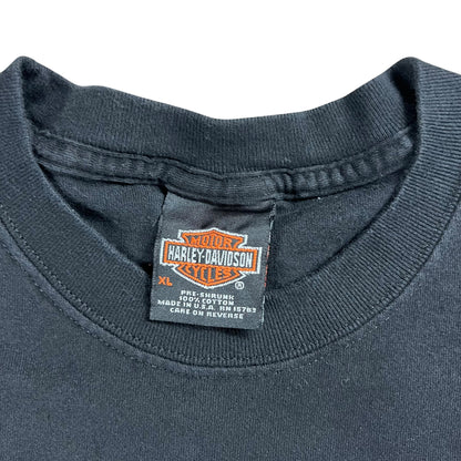 Vintage 2002 Harley Davidson Motorcycles American flag tee (XL)